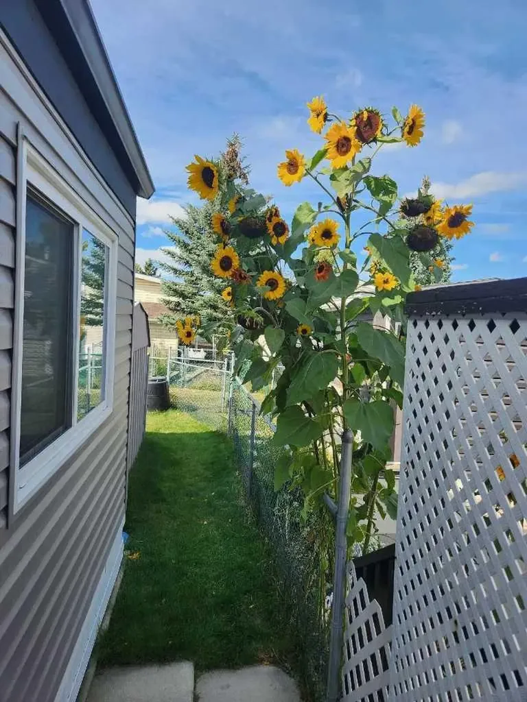 99 Arbour Lake Road NW Calgary AB T3G 4E4