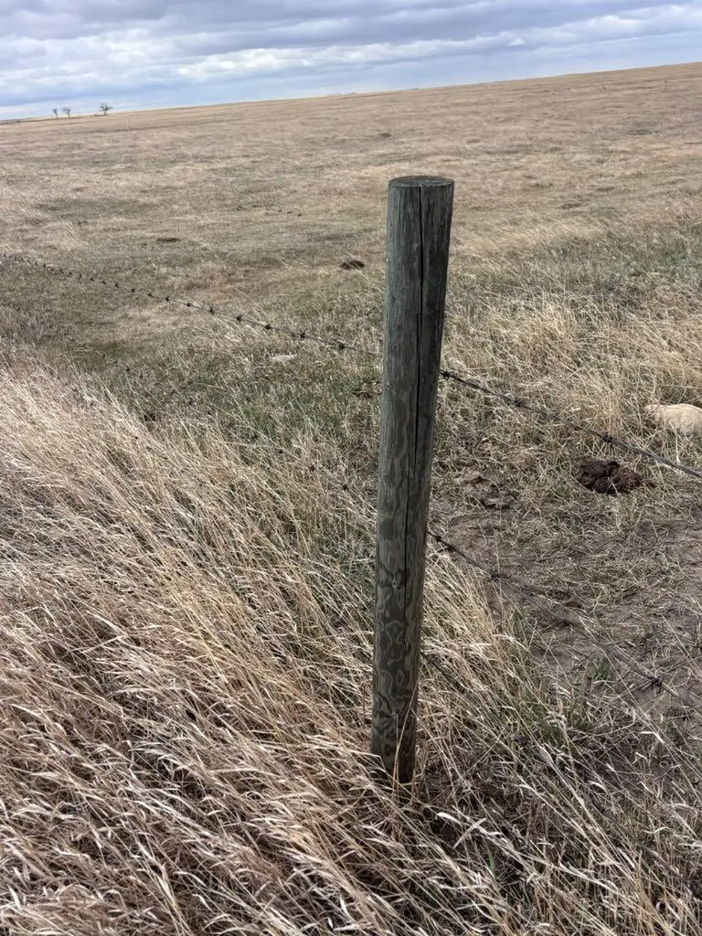 On Twp Road 342 Veteran AB T0C2S0