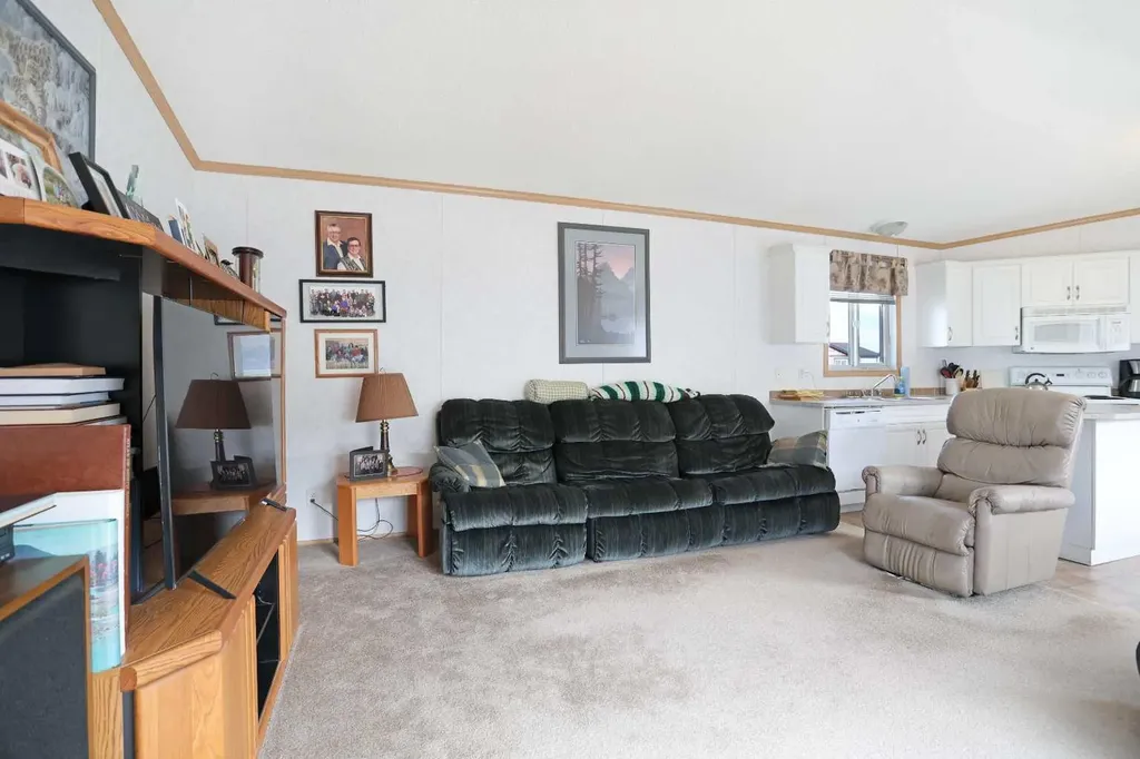 45 Meadowplace Crescent E Brooks AB T1R 0R5