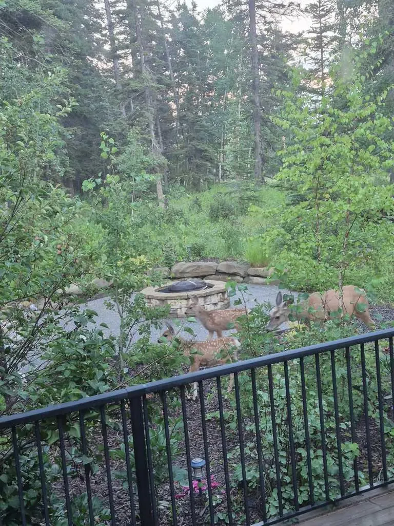 314 Hawk's Nest Hollow Priddis Greens AB T0L 1W0