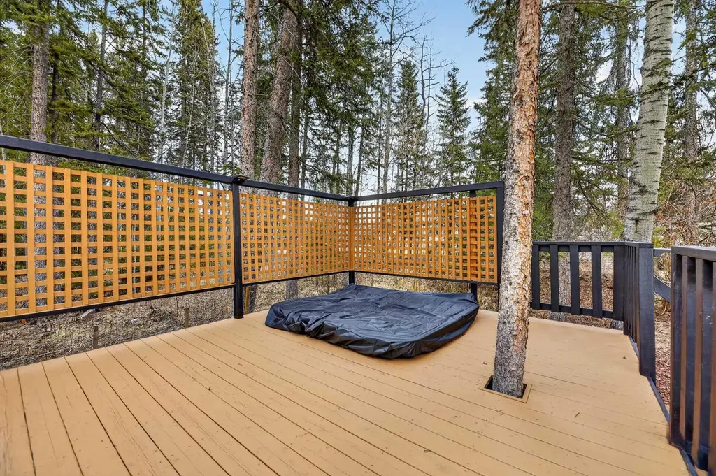 5241 Township Road 325 A Rural Mountain View County AB T0M1x0