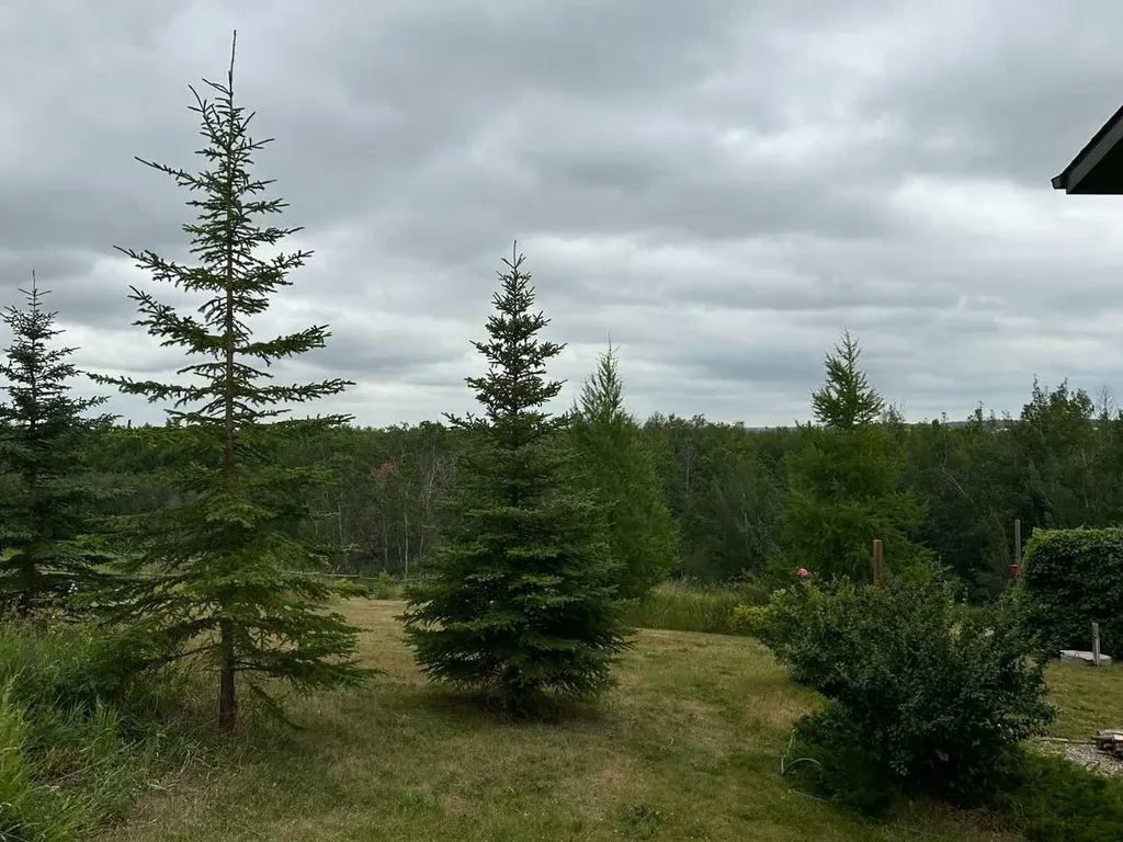 49 Grandview Crescent Rural Vermilion River County Of AB T9X 2B5