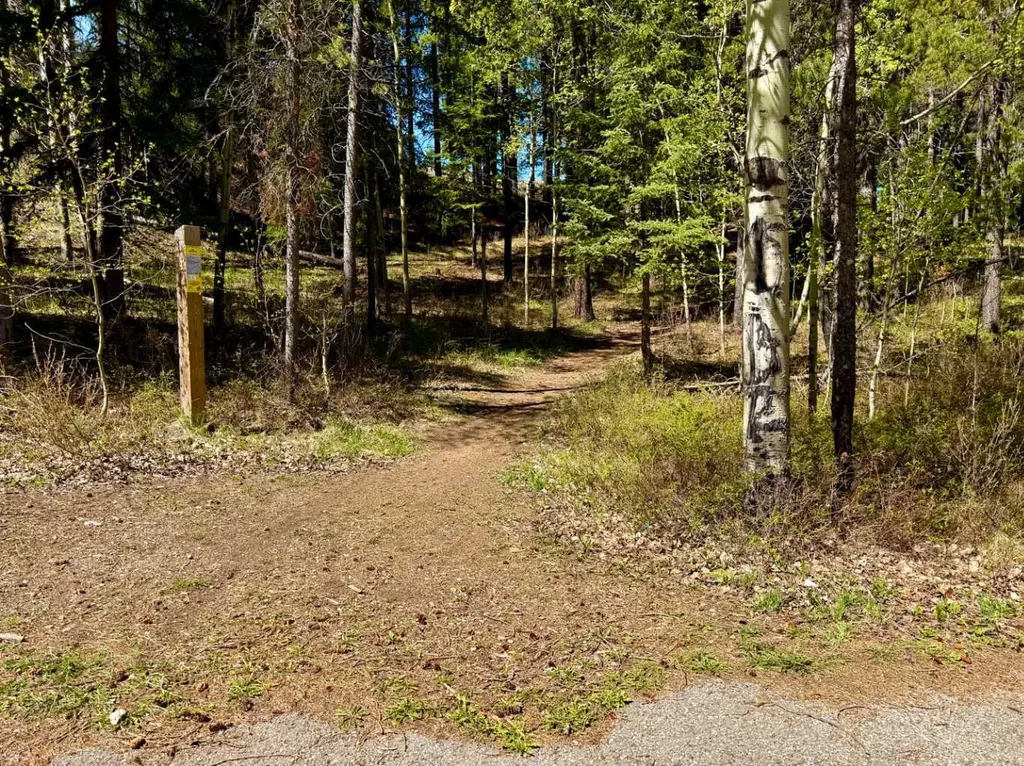 1726 113 Street Blairmore AB T0K 0E0