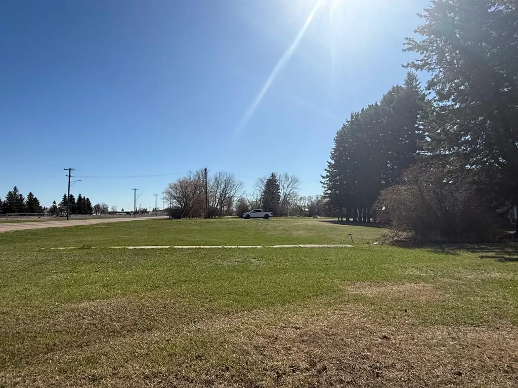 4911 48 Avenue Mannville AB T0B 2W0