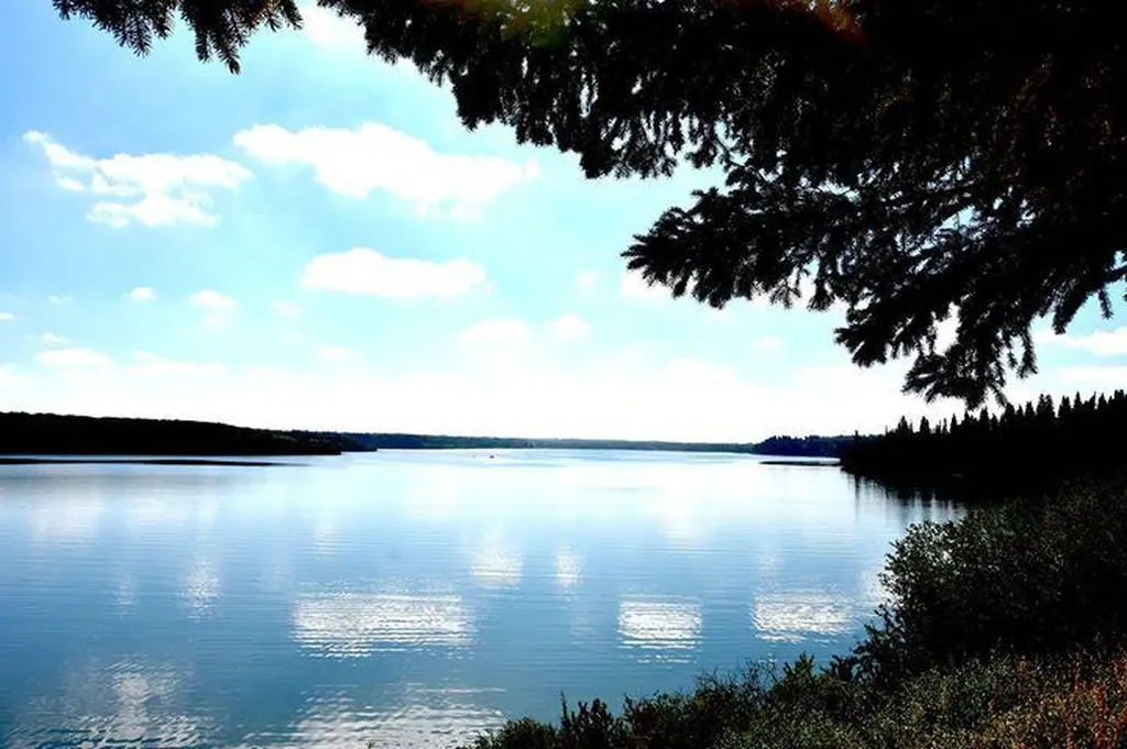 25054 South Pine Lake Road Rural Red Deer County AB T0M 1R0