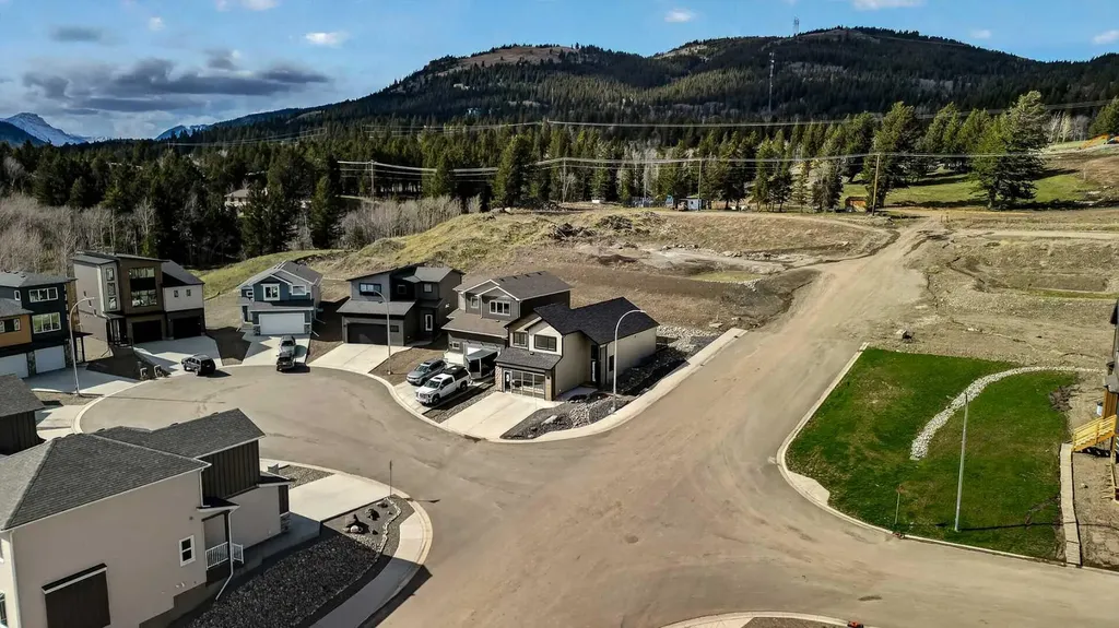 8619 25 Avenue Coleman AB T0K 0M0