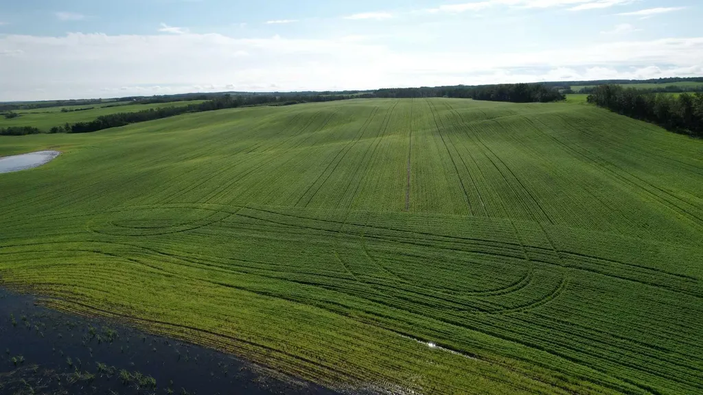 Rr 115 Twp Road 554 Rural Two Hills No. 21 County Of AB T0B 4K0
