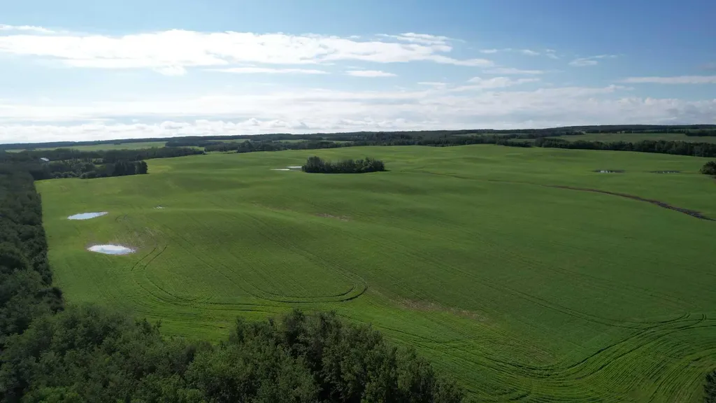 Rr 115 Twp Road 554 Rural Two Hills No. 21 County Of AB T0B 4K0