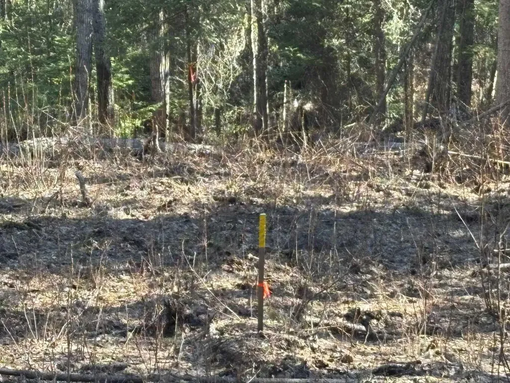 17 Stirling Lane Rural Lesser Slave River No. 124 M.d. Of AB T0G 2A0