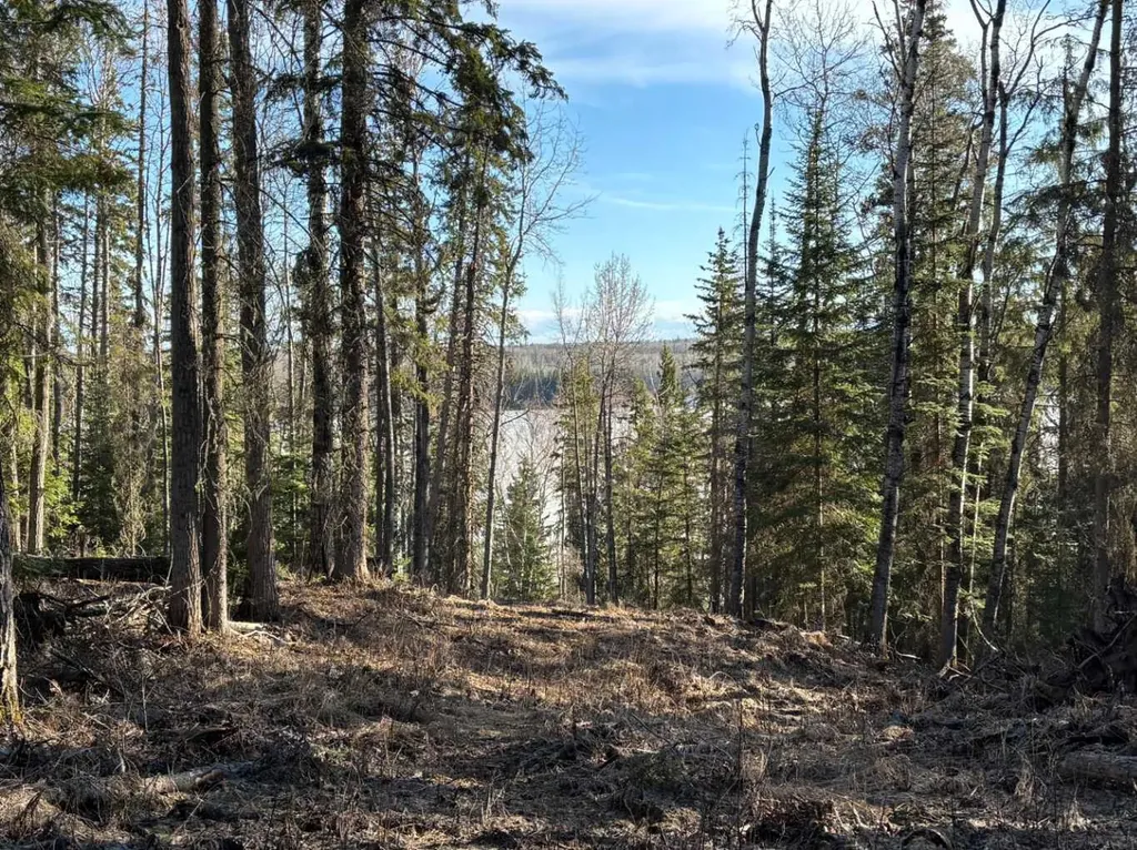 17 Stirling Lane Rural Lesser Slave River No. 124 M.d. Of AB T0G 2A0