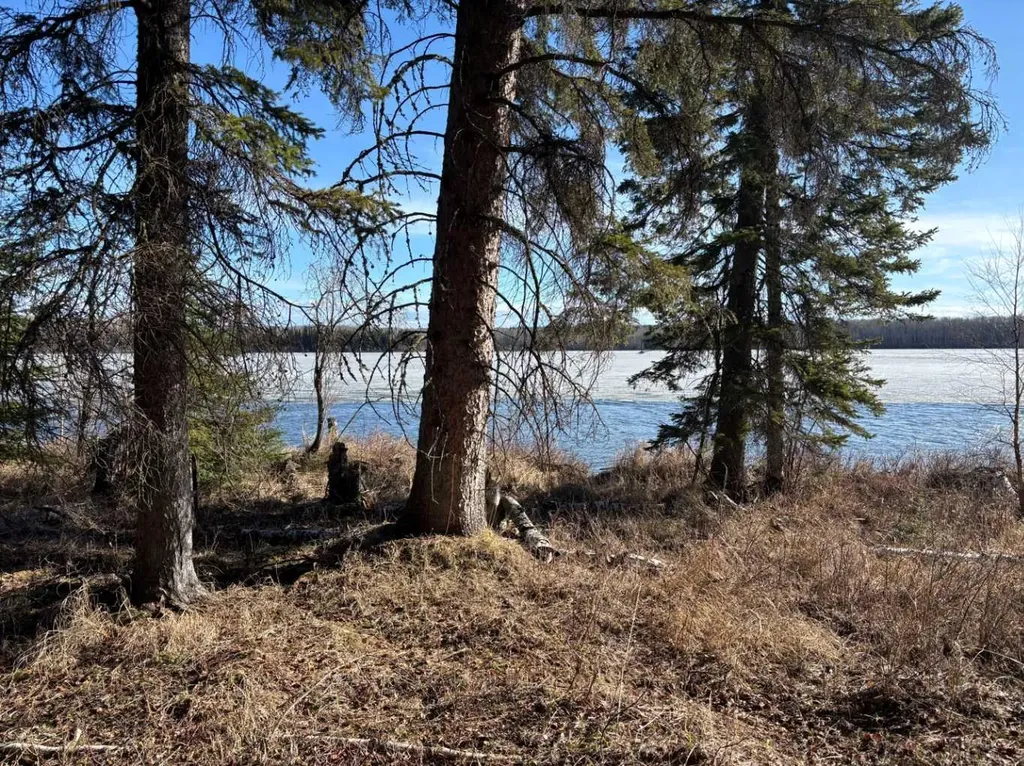 17 Stirling Lane Rural Lesser Slave River No. 124 M.d. Of AB T0G 2A0