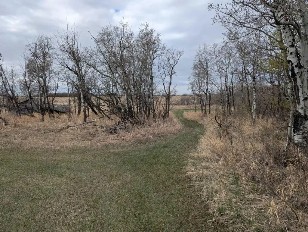 49232 Range Road 173 Rural Beaver County AB T0B4A0