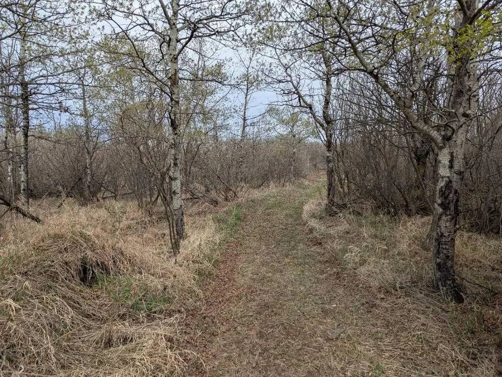 49232 Range Road 173 Rural Beaver County AB T0B4A0