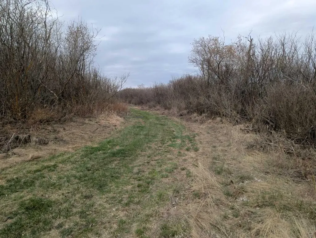49232 Range Road 173 Rural Beaver County AB T0B4A0