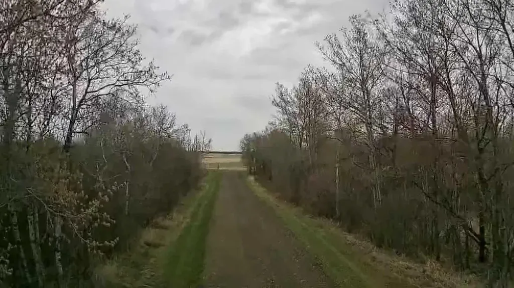 49232 Range Road 173 Rural Beaver County AB T0B4A0