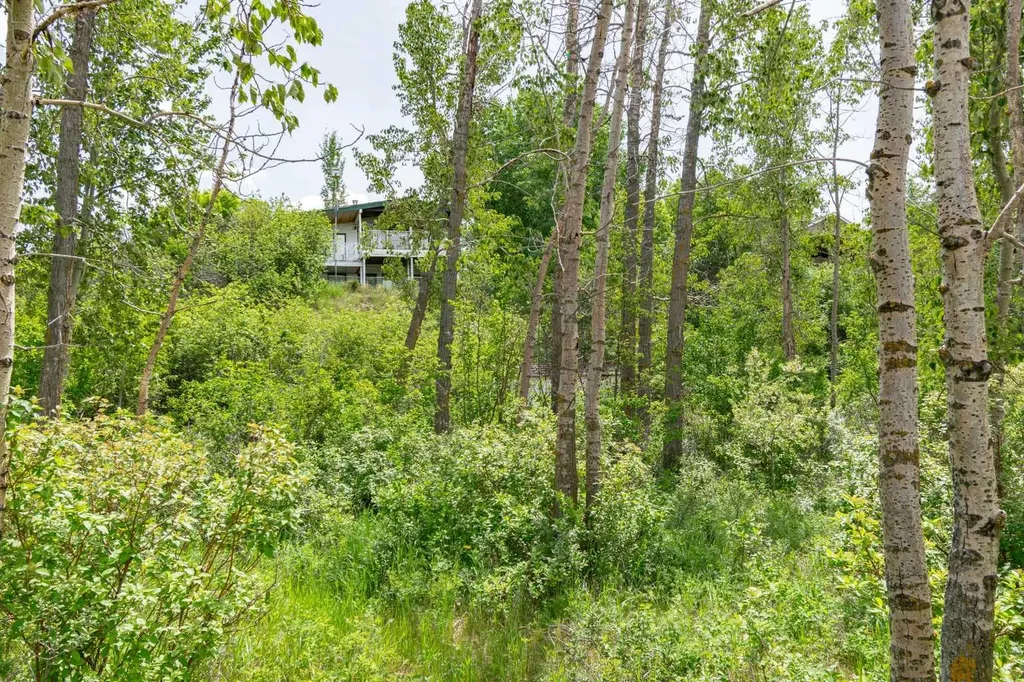 44 Lakeview Avenue White Sands AB T0C 2L0