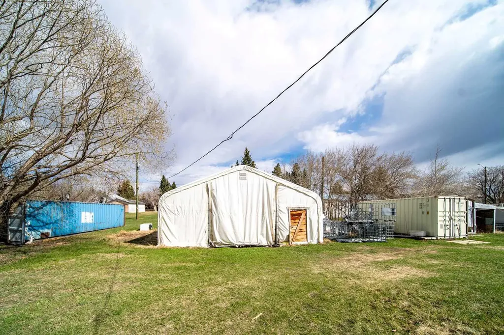 4608 51 Avenue Czar AB T0B 0Z0