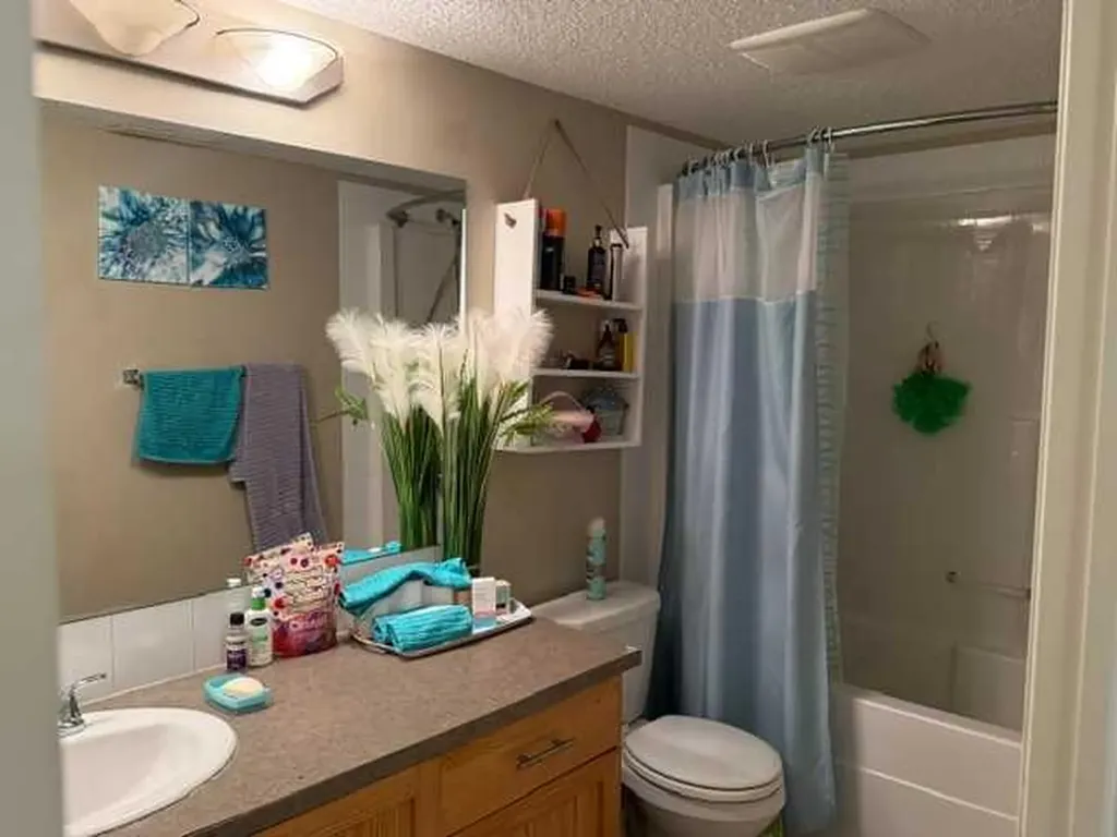 270 Saddlebrook Point NE Calgary AB T3J 0G5
