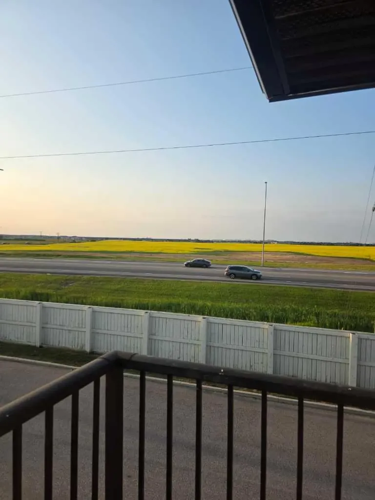 270 Saddlebrook Point NE Calgary AB T3J 0G5