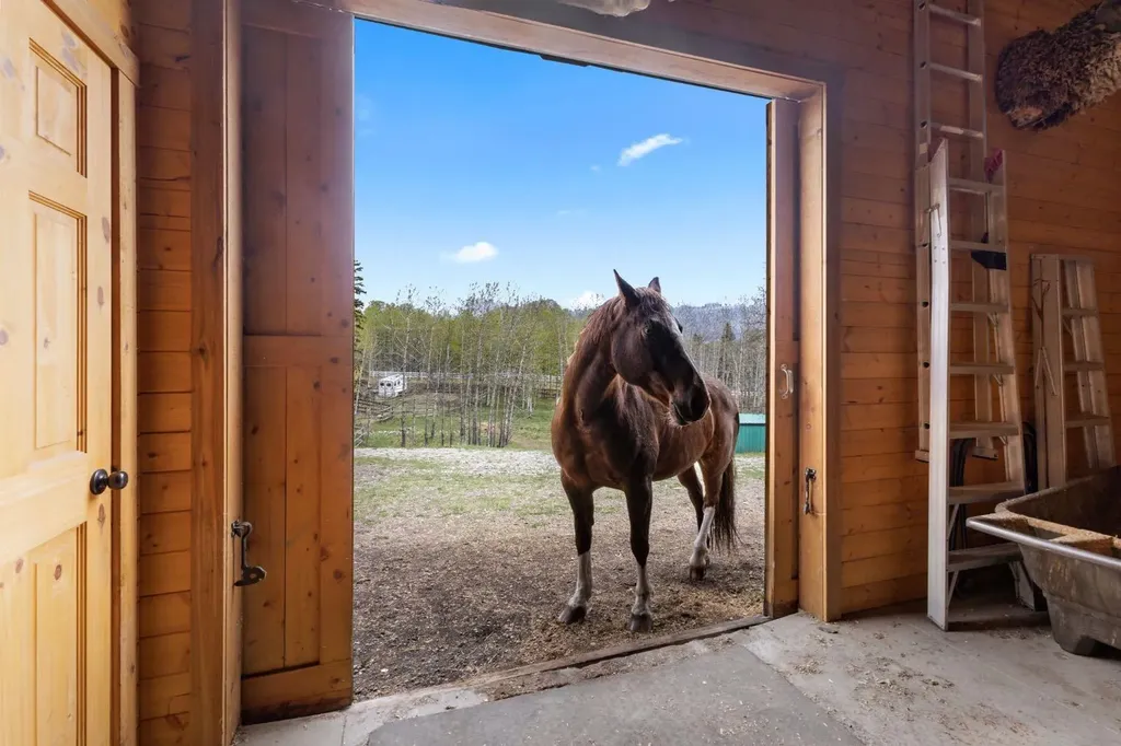 288017 160 Avenue W Rural Foothills County AB T0L 1W2
