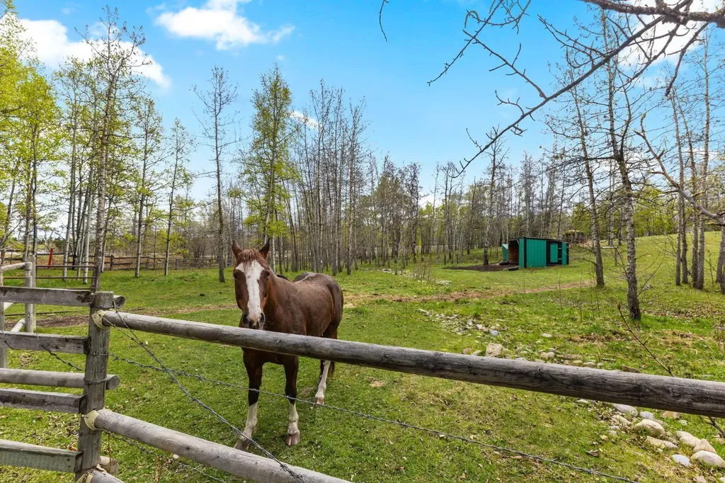 288017 160 Avenue W Rural Foothills County AB T0L 1W2
