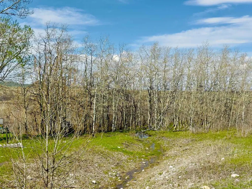 2127 Twp Road 7-3a Lundbreck AB T0K1H0