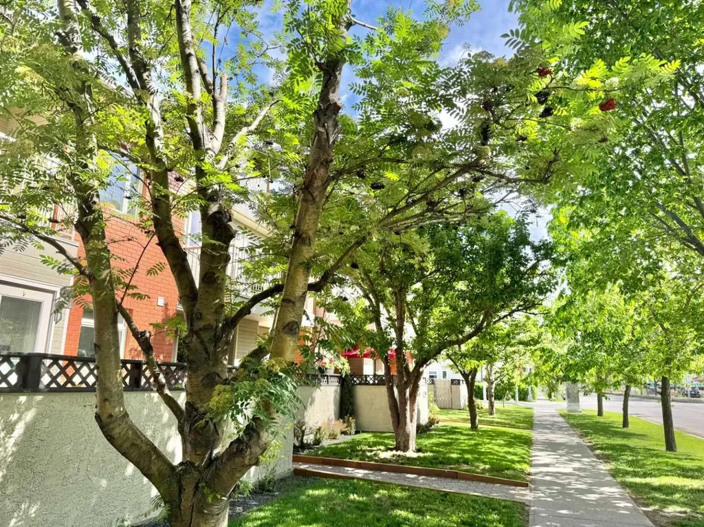 107 9 Street NW Calgary AB T2N0E3