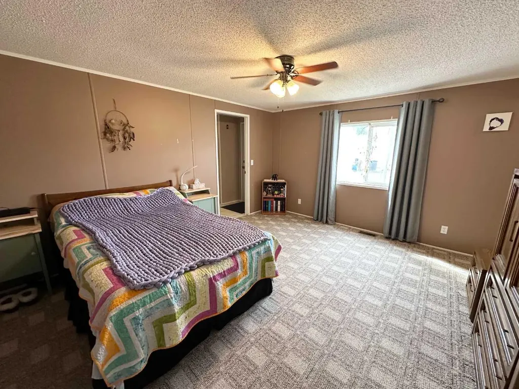 5242 46 Street Mannville AB T0B 2W0