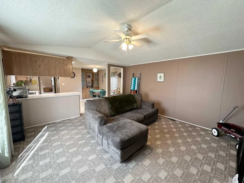 5242 46 Street Mannville AB T0B 2W0