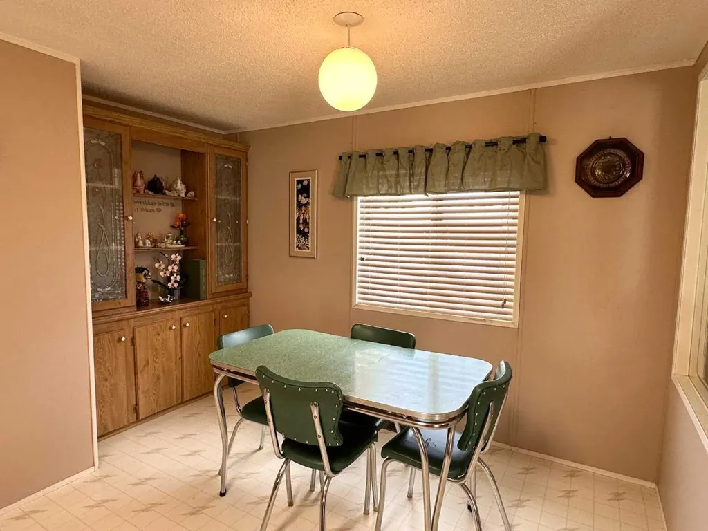 5242 46 Street Mannville AB T0B 2W0
