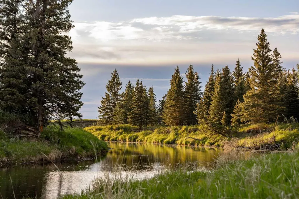 4252 Township Road 322 Rural Mountain View County AB T0M 1X0
