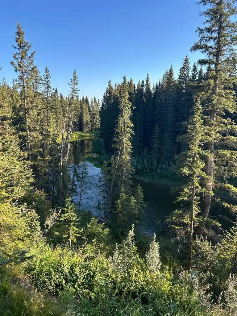 4252 Township Road 322 Rural Mountain View County AB T0M 1X0