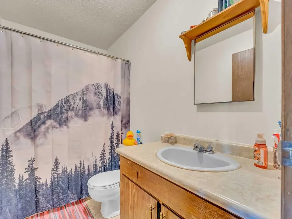 437 3 Avenue Bassano AB T0J0B0
