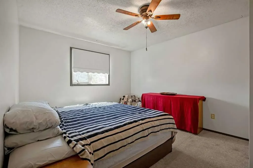 13 Park Road Strathmore AB T1P1H6