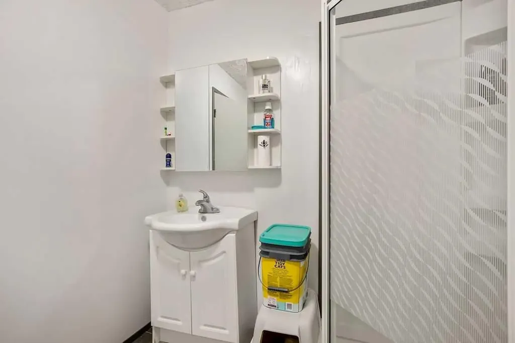 13 Park Road Strathmore AB T1P1H6