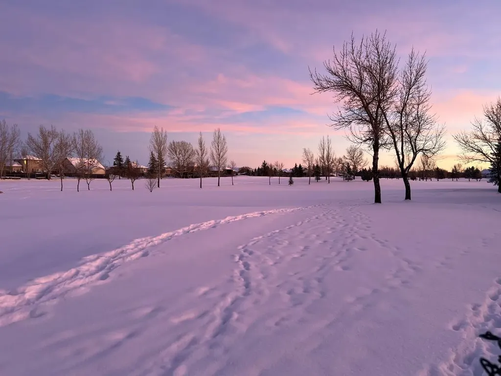 105 Fairway Drive Coaldale AB T1M 1H1