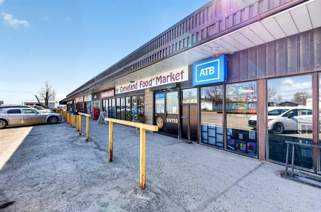 117 Bonitz Court Carseland AB T0J 0M0
