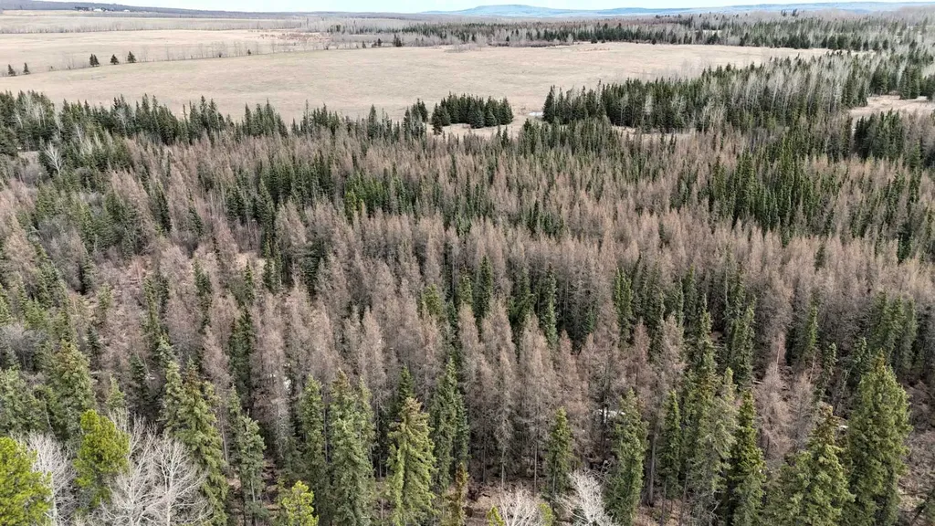 14132 Township Road 570 Road Rural Yellowhead County AB T7E3Z7