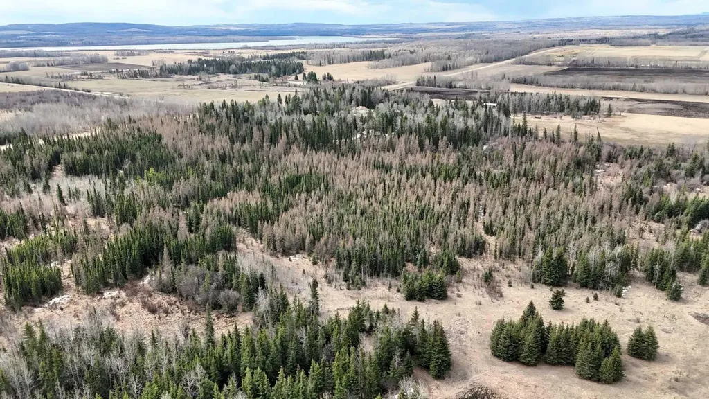 14132 Township Road 570 Road Rural Yellowhead County AB T7E3Z7