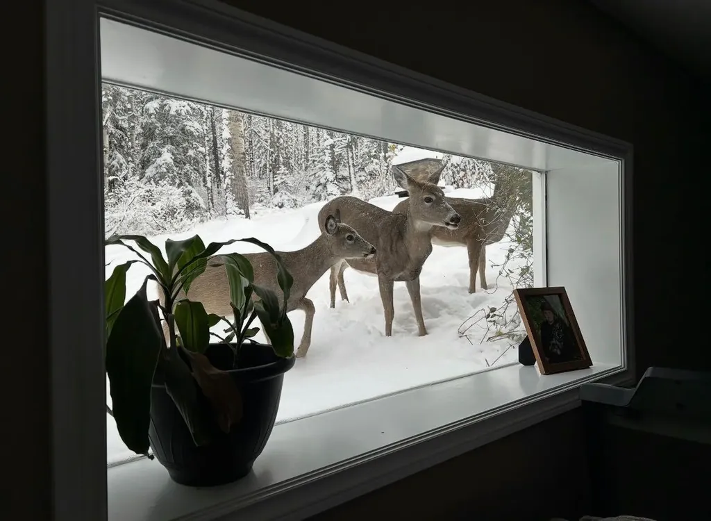 363 Wild Rose Close Rural Rocky View County AB T0L0K0
