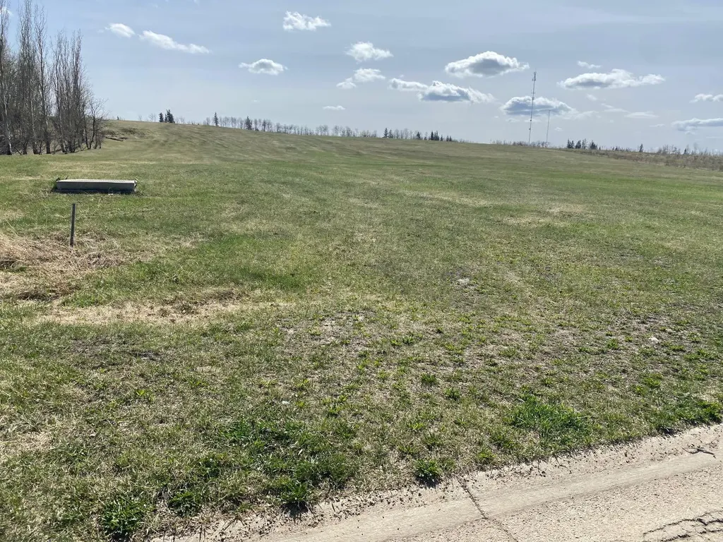 5310 44 Avenue Spirit River AB T0H 3G0