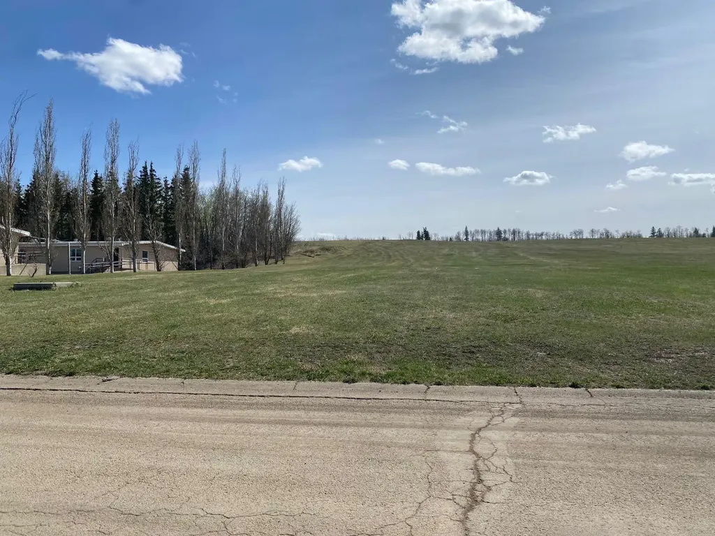 5310 44 Avenue Spirit River AB T0H 3G0