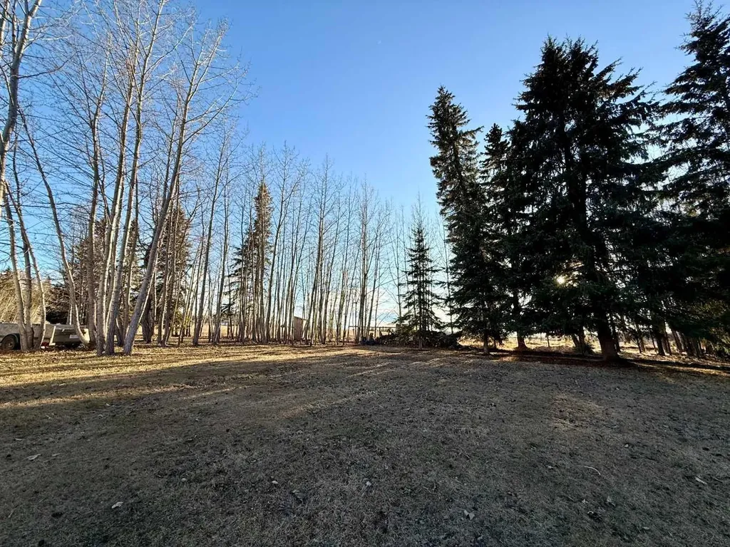 62045 Twp 462 Buck Lake AB T0C 0T0