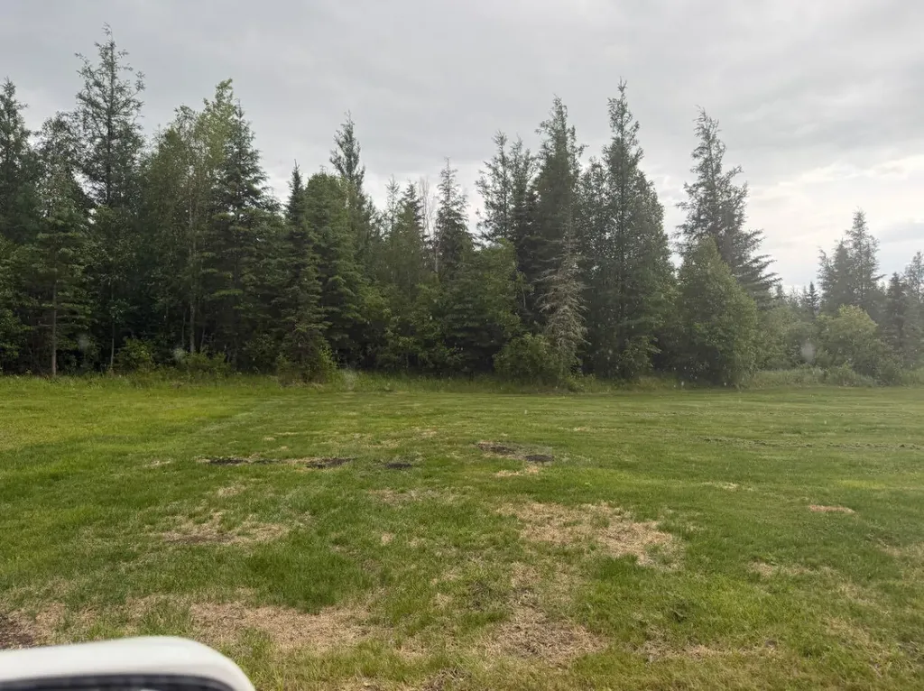 131074 Township Road 590 Rural Woodlands County AB T7S 1N5