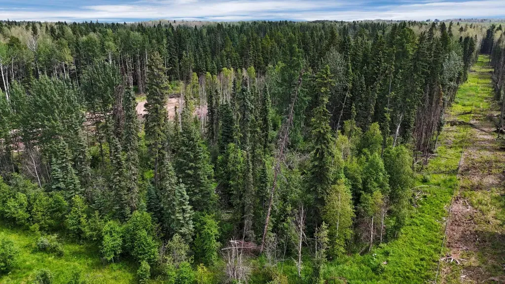 Range Road 85 Rural Brazeau County AB T7A 2A3