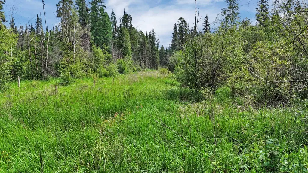 Range Road 85 Rural Brazeau County AB T7A 2A3