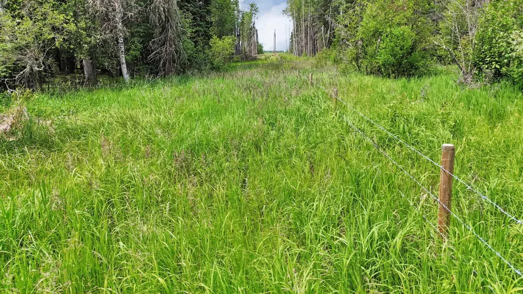 Range Road 85 Rural Brazeau County AB T7A 2A3