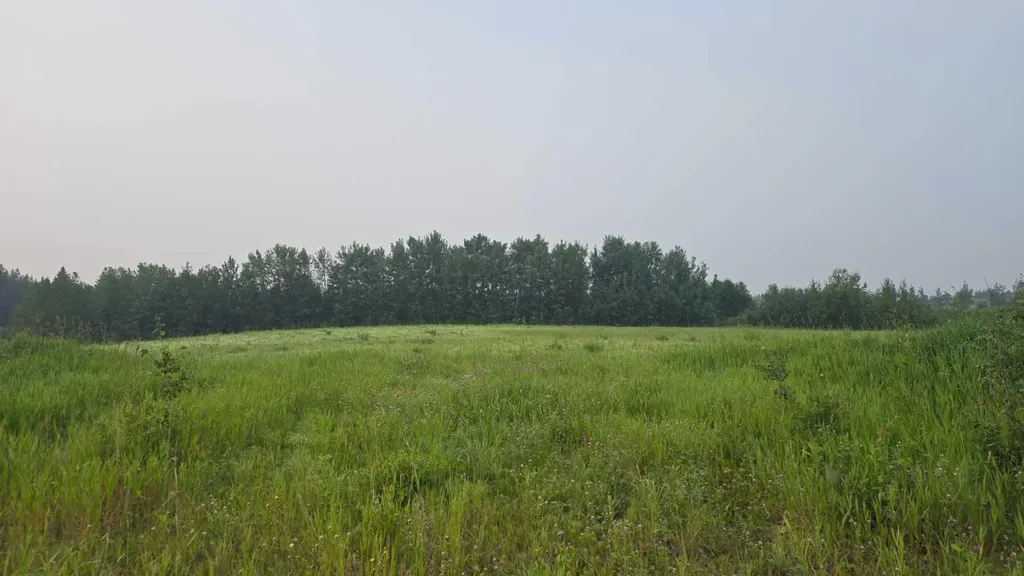 Lot 4, Block 2 Plan 1621740 Plamondon AB T0A 2T0