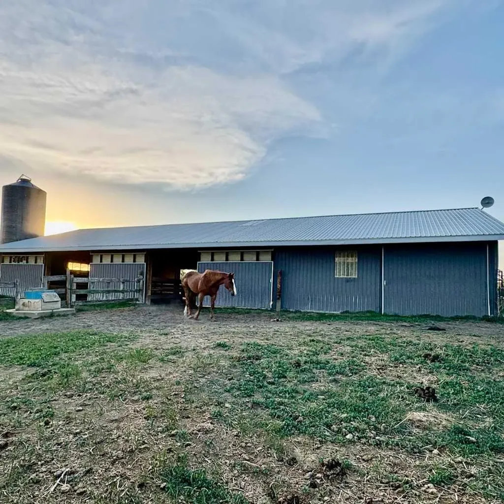 2168 587 Highway Bowden AB T0M 0K0