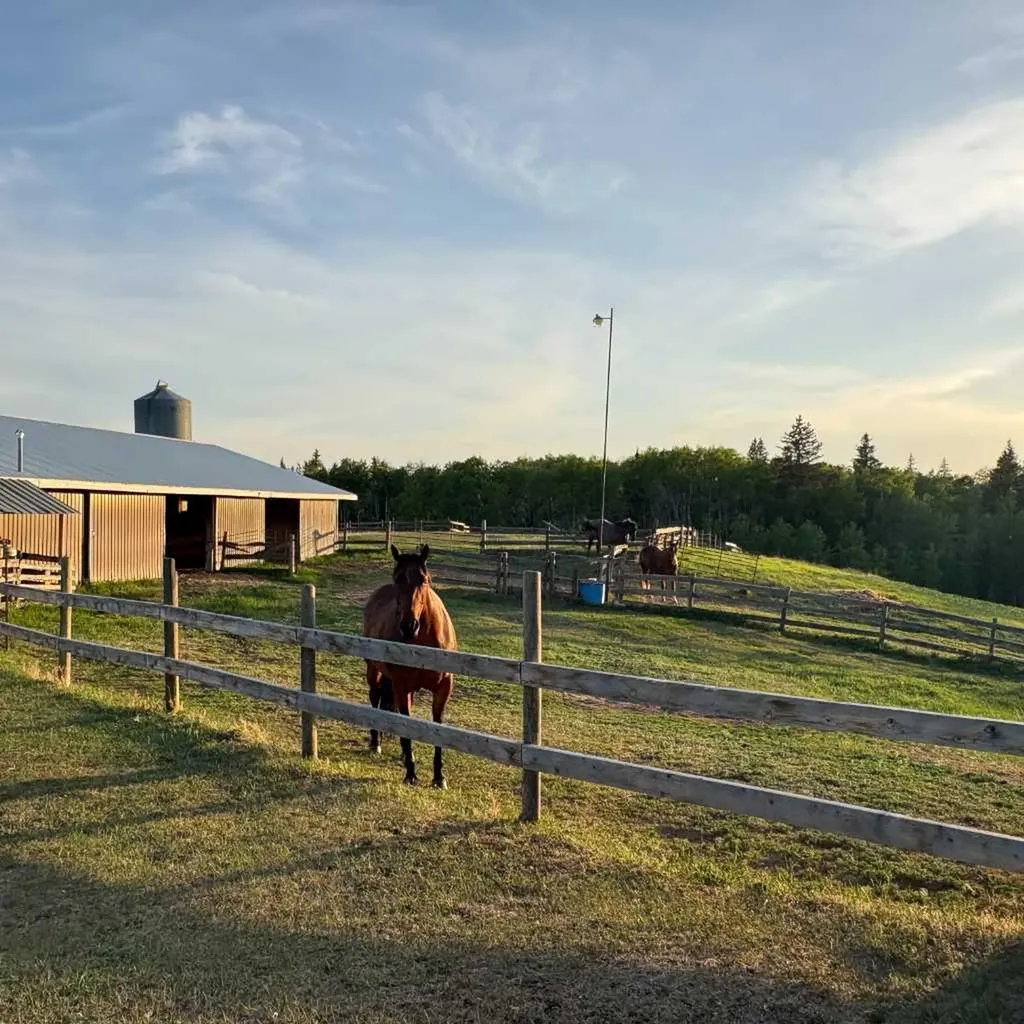 2168 587 Highway Bowden AB T0M 0K0